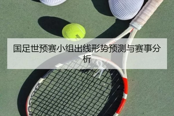 国足世预赛小组出线形势预测与赛事分析
